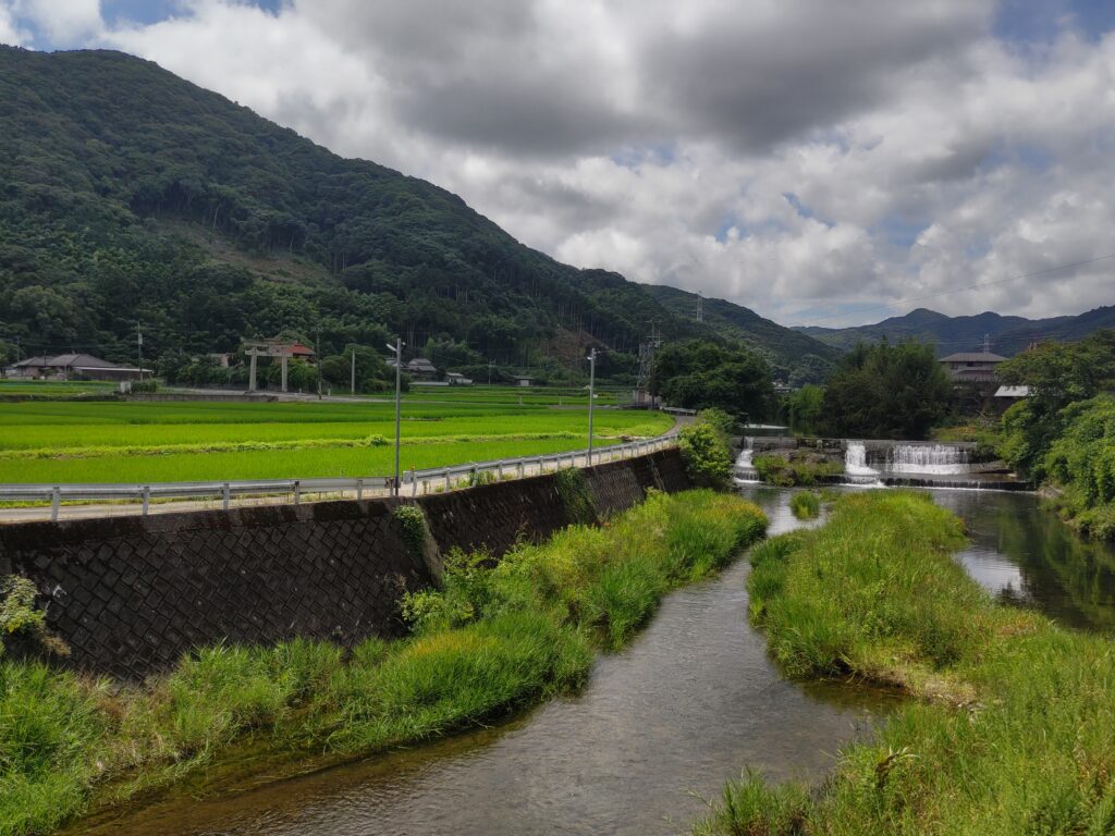 住民票と本籍